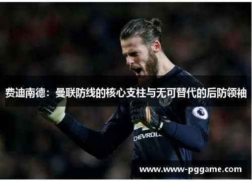 费迪南德：曼联防线的核心支柱与无可替代的后防领袖