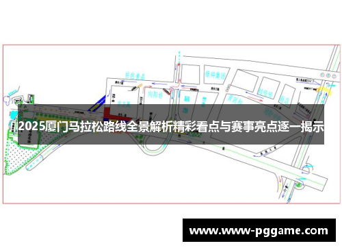 2025厦门马拉松路线全景解析精彩看点与赛事亮点逐一揭示