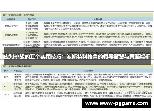 应对挑战的五个实用技巧：波斯特科格鲁的领导智慧与策略解析