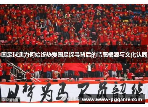 国足球迷为何始终热爱国足探寻背后的情感根源与文化认同