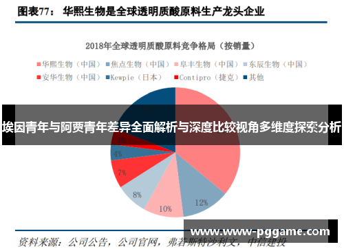 埃因青年与阿贾青年差异全面解析与深度比较视角多维度探索分析 埃因青年与阿贾青年差异全面解析与深度比较视角多维度探索分析