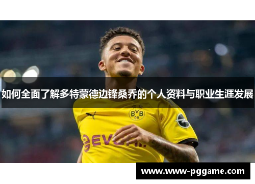 如何全面了解多特蒙德边锋桑乔的个人资料与职业生涯发展 如何全面了解多特蒙德边锋桑乔的个人资料与职业生涯发展
