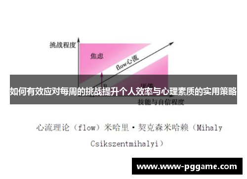如何有效应对每周的挑战提升个人效率与心理素质的实用策略